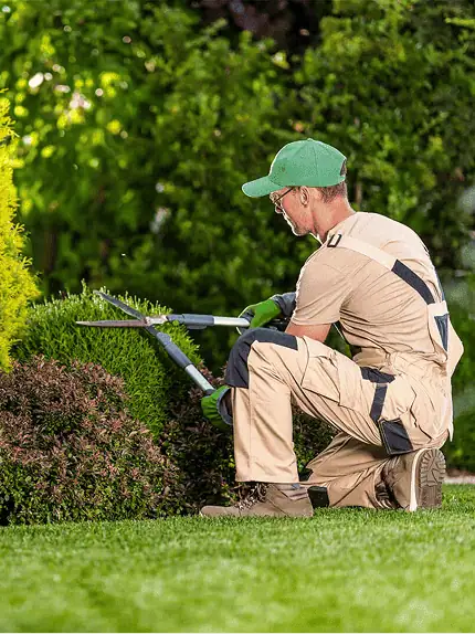 Certified and insured landscaping team